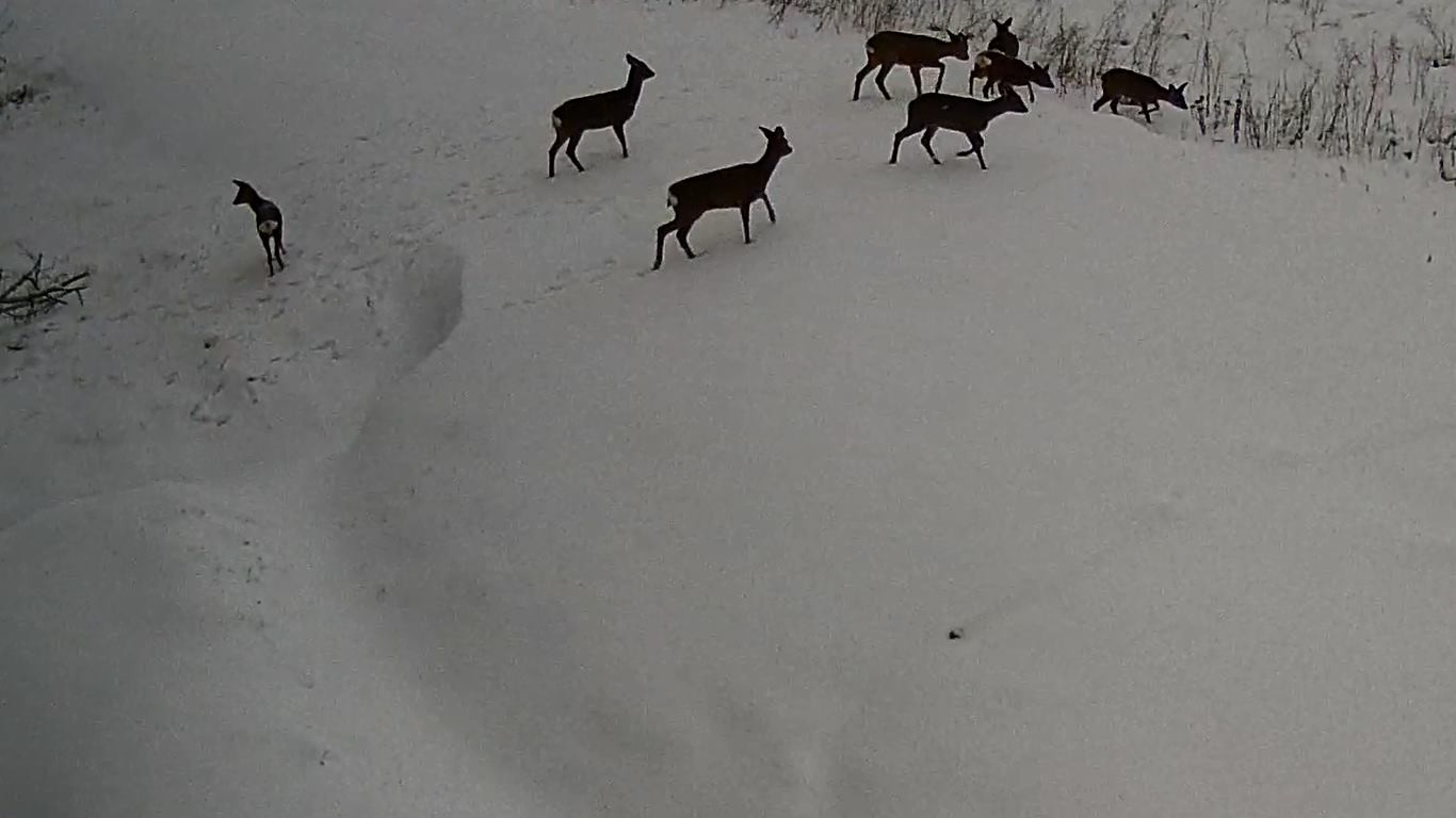 Manus 12473742_574161159414739_460895905106588023_o.jpg